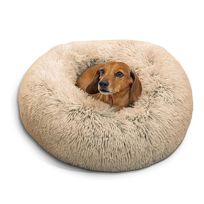 back to school by sheri donut beds