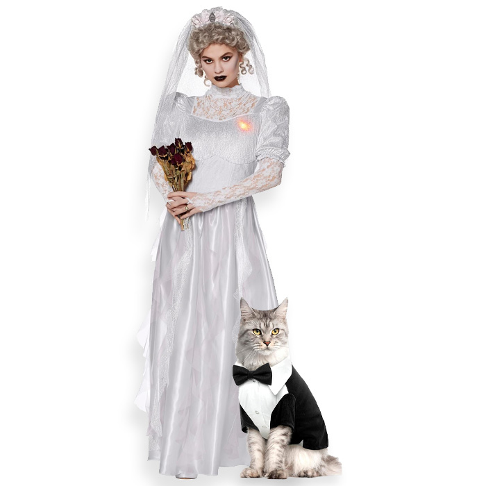 a cat parent bride and a cat groom