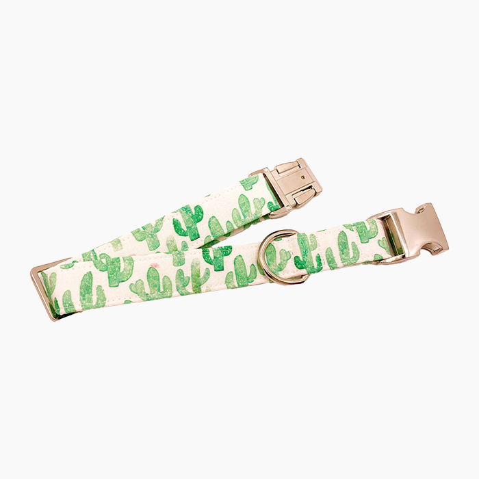 cactus themed collar