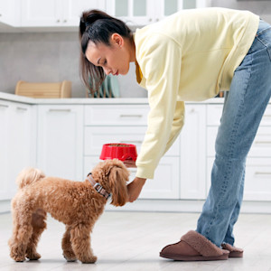 Woman feeding her dog at home.