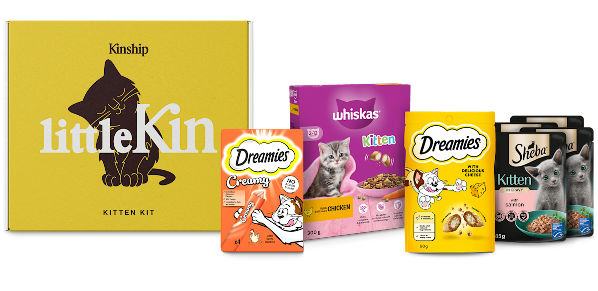 new uk kitten kit box image