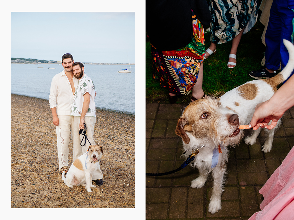 couple and their dog on the beach