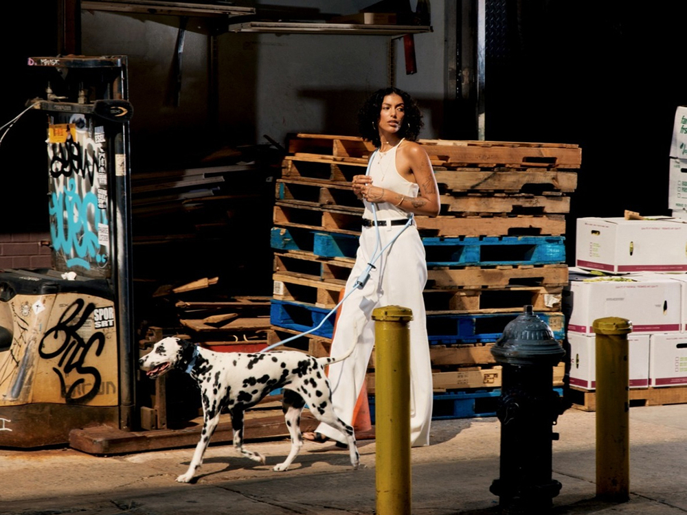 a woman walks a large dog on a blue leash 
