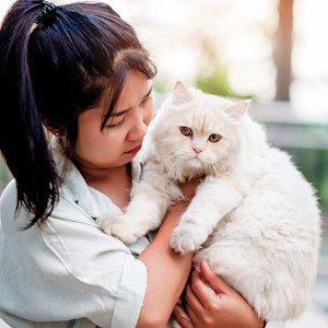 Woman holding cute fluffy white cat.