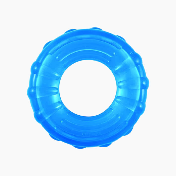 blue ring dog toy
