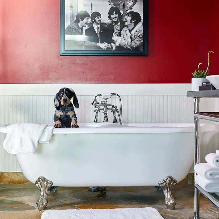 a dog in a bath at Edgewater hotel