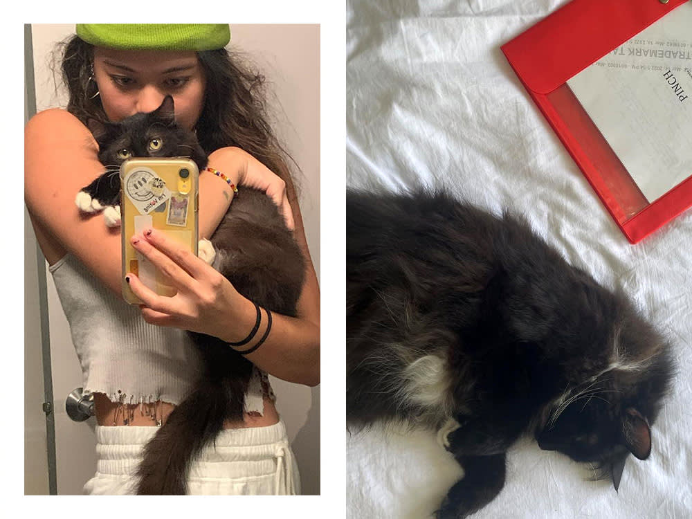Lukita in a green hat takes a selfie with Roscoe; Roscoe snuggles on a white duvet