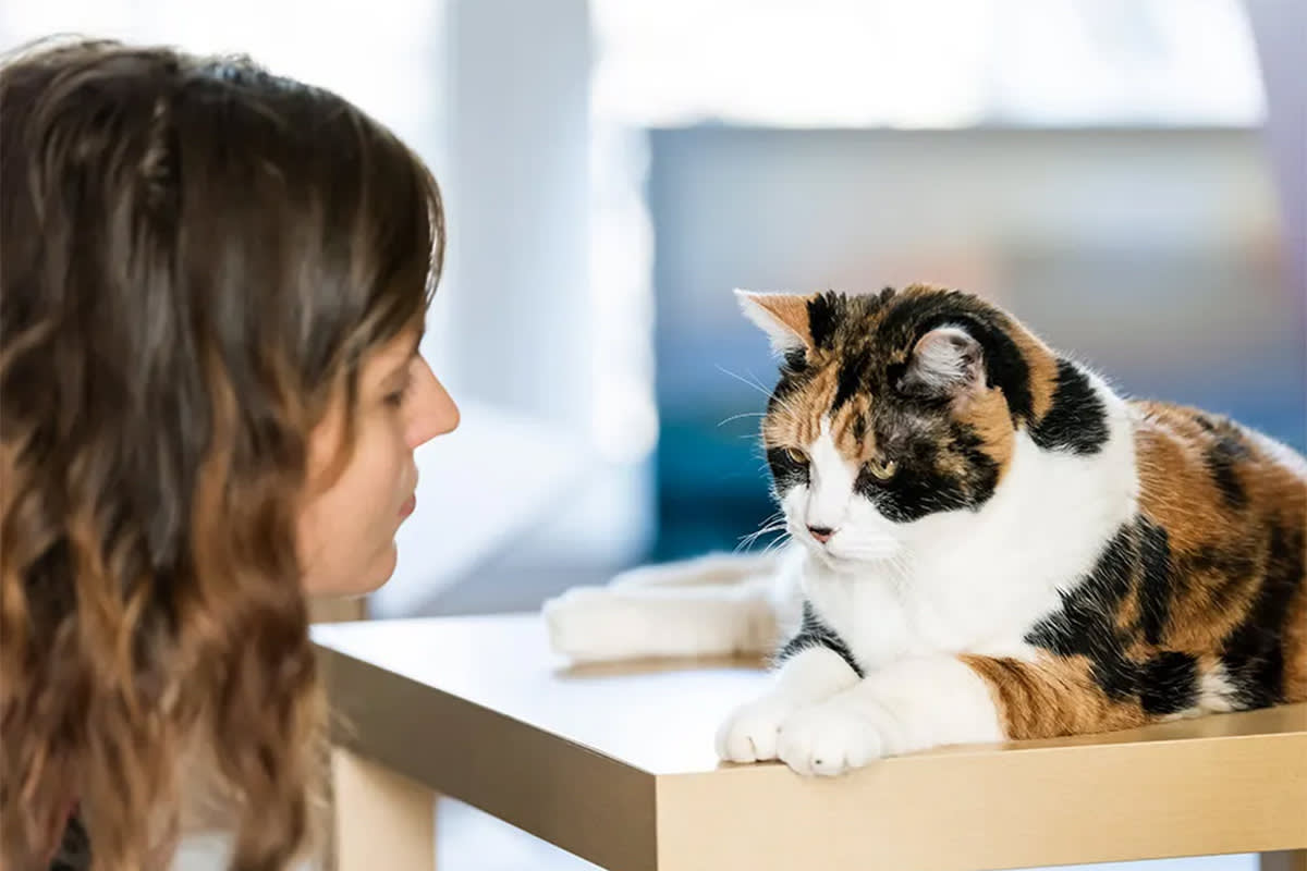 woman staring at cat