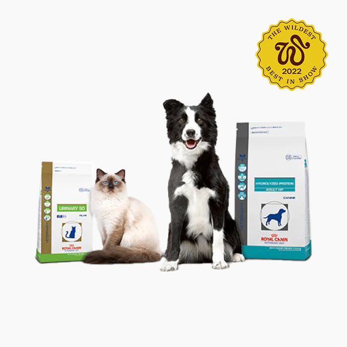 dog and cat with royal canin food