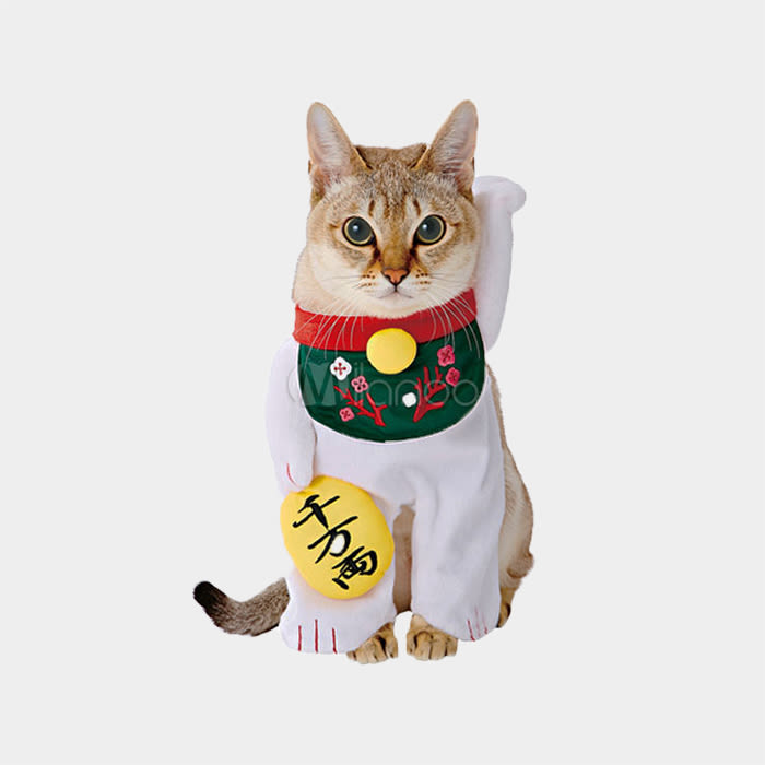 cat wearing fortune cat costume