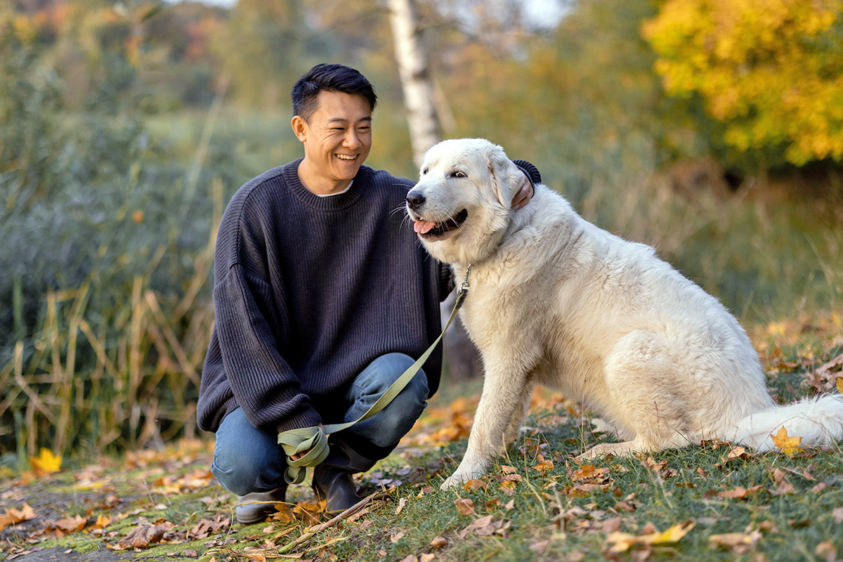 Person looking at a dog