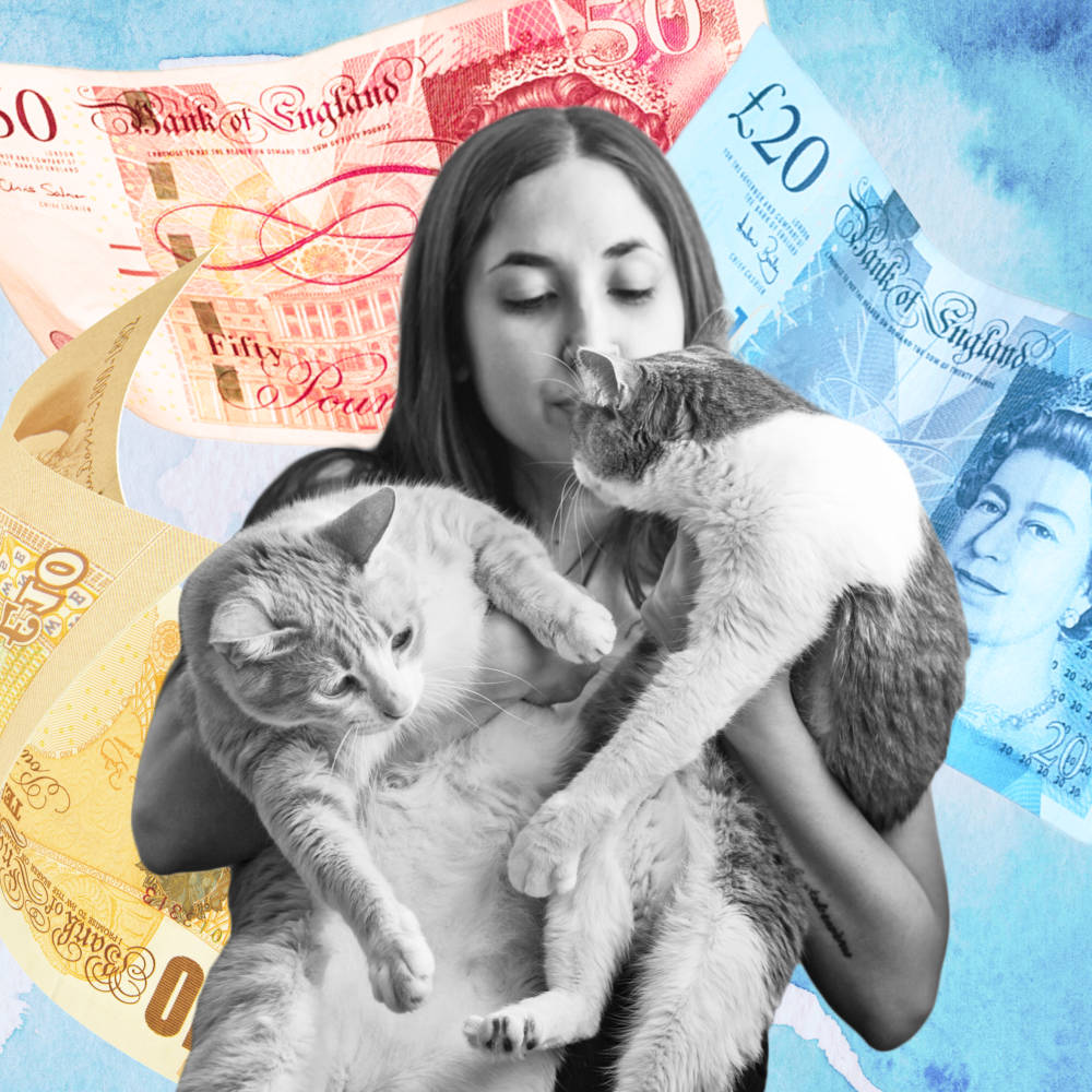 woman hugging two cats with money in the background