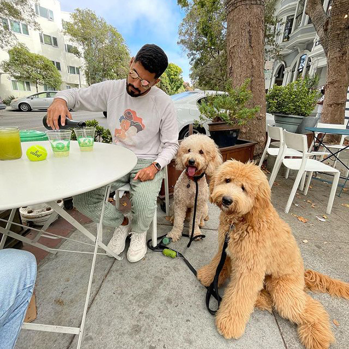 Duboce Dog Park Cafe, to dog outside