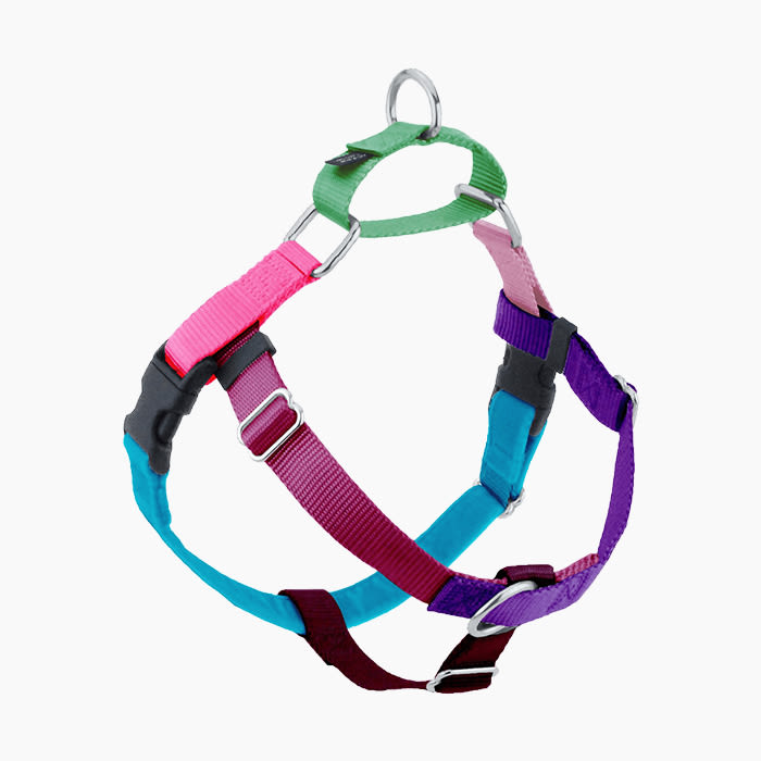 the color blocked harness