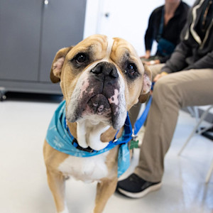 Despite being both mentally and physically exhausted, our team in Los Angeles is still showing up to help both the community and shelters in need.