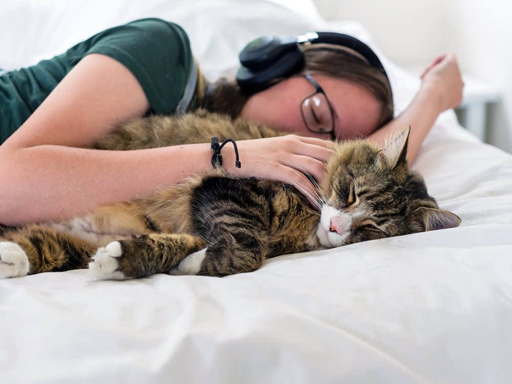 Woman and her cat sleeping soundly in bed.