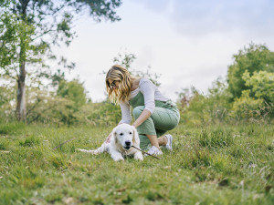 A woman checking her dog for ticks outside in a grassy field. 