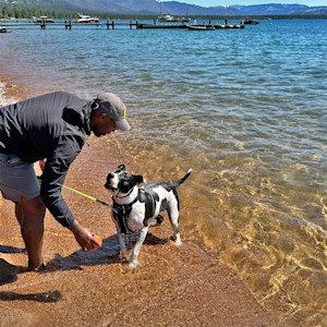Man playing with his large white and black dog outside, at the lake.