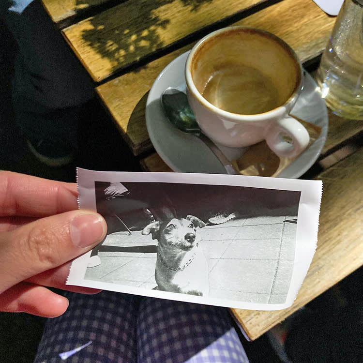 A hand holds a black and white picture of a dog