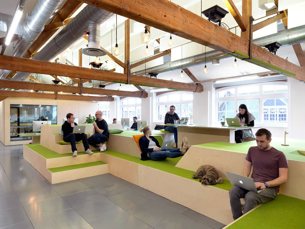 AirBnB offices with a dog lounging