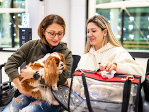 Women waiting for their flight at the airport with their dog.