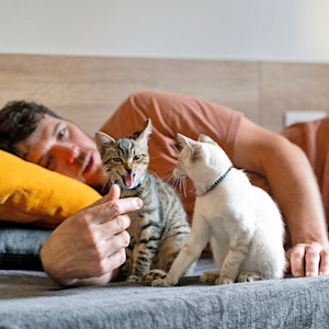 Man playing with his two kittens in bed.