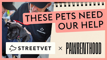 Who helps the pets of those experiencing homelessness? · Pawrenthood Episode #7 · StreetVet Takeover