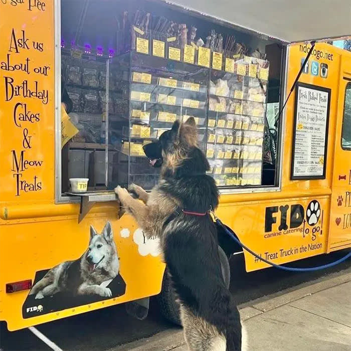 Fido to Go dog food truck