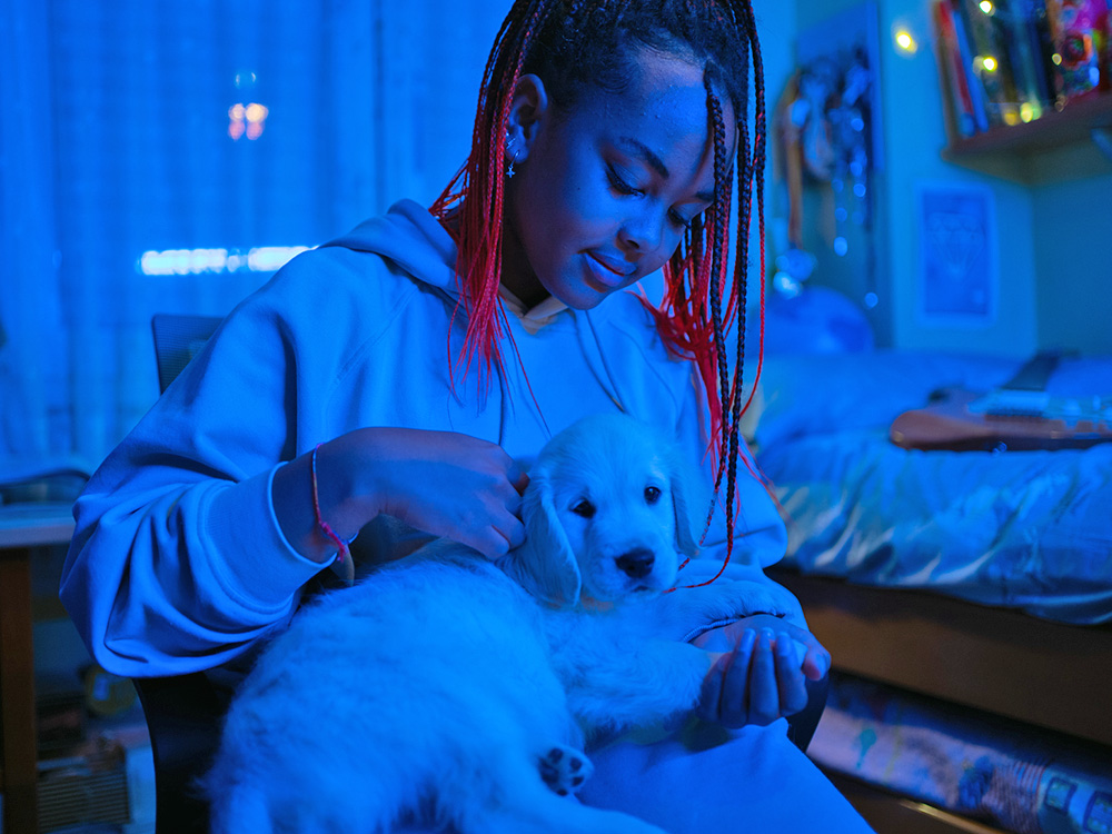 Young girl holding her cute puppy at home at night.