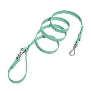 Wild One Dog Leash in seafoam