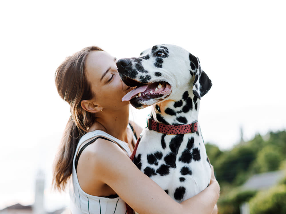 woman hugging a Dalmatian