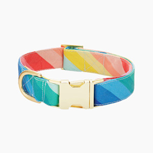 Rainbow Dog Collar