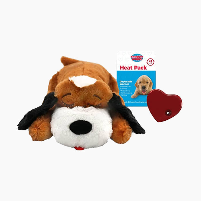 Solutions and Toys for Dogs with Anxiety