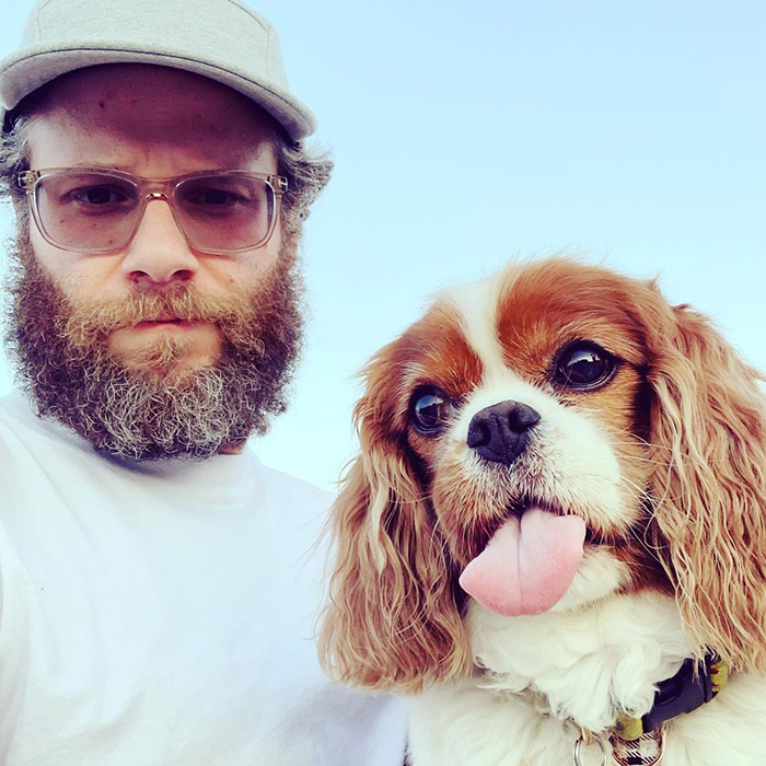 Of Course Seth Rogen Designed A Lighter Holder for His Dog · The Wildest