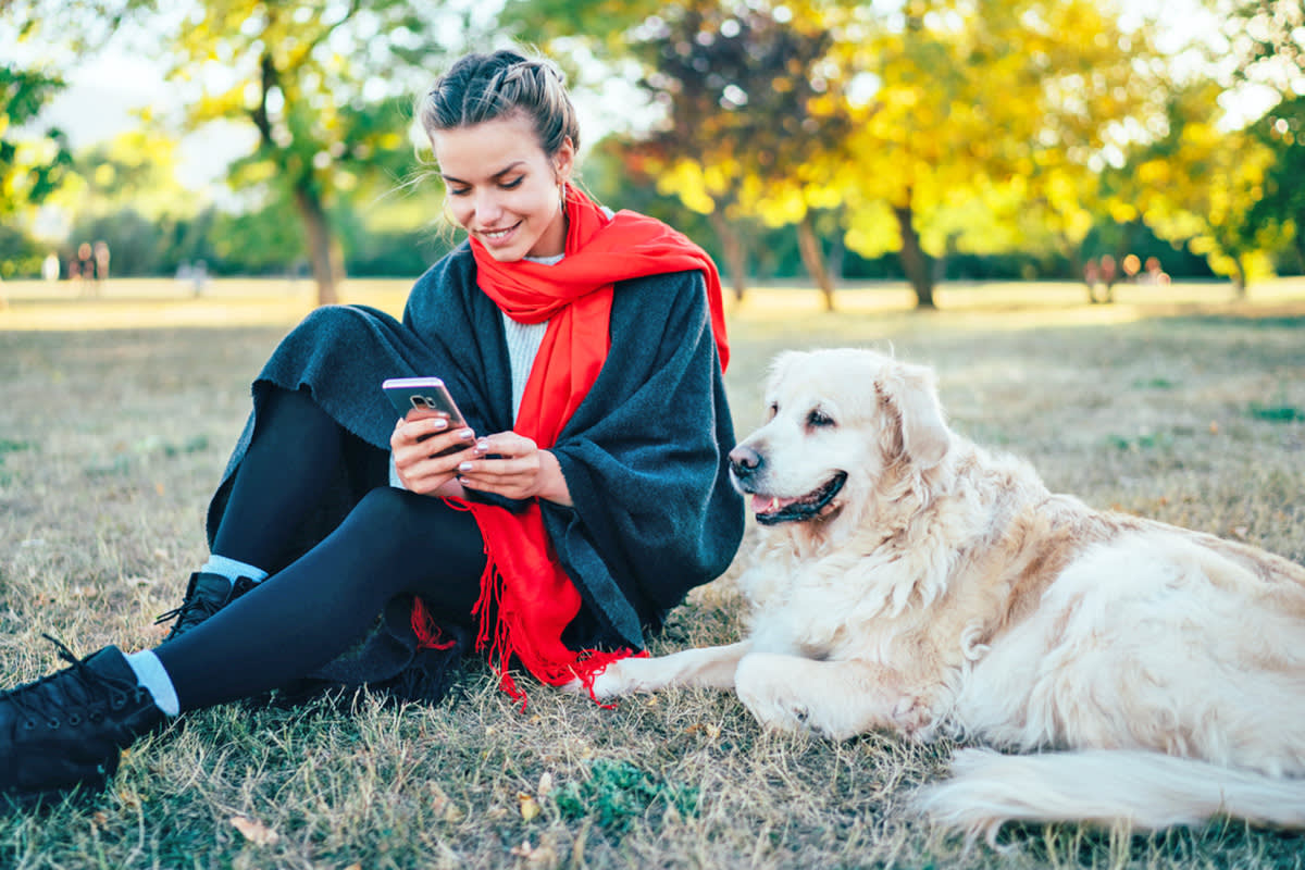 Dog looking at person's phone