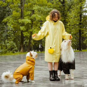 woman and two dogs on rainy dog do dog training