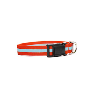 Eton Dog Collar from Harry Barker