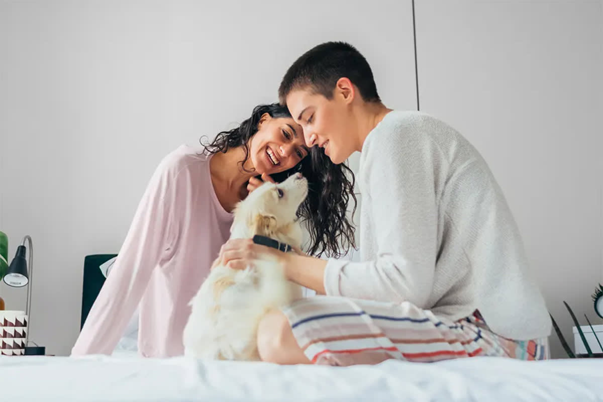 Two people petting a dog