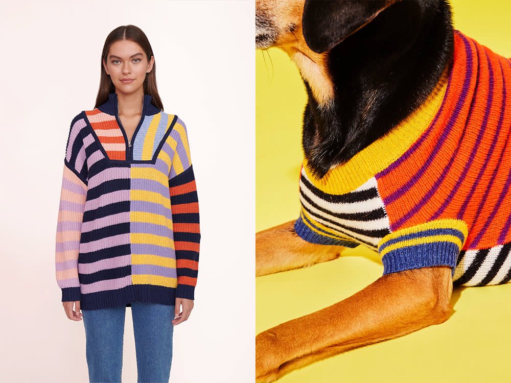 rainbow dog and human sweaters