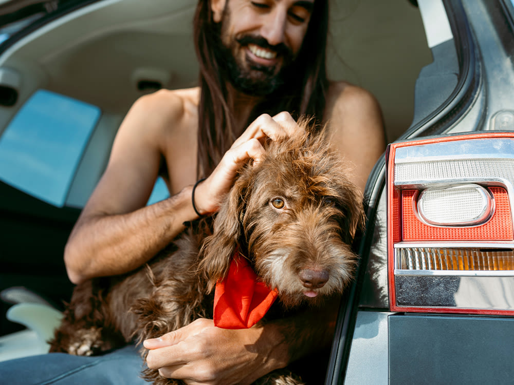Man with long hair and a beard soothing his anxious dog in the back of a car near the beach