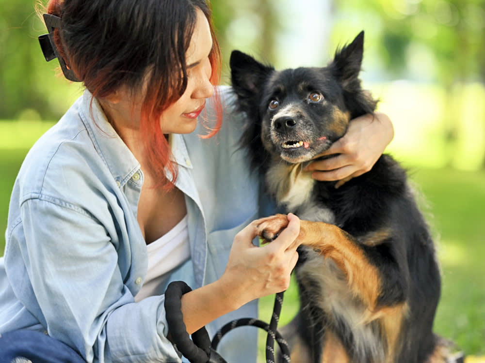 Woman looking at her dog's paw outside.