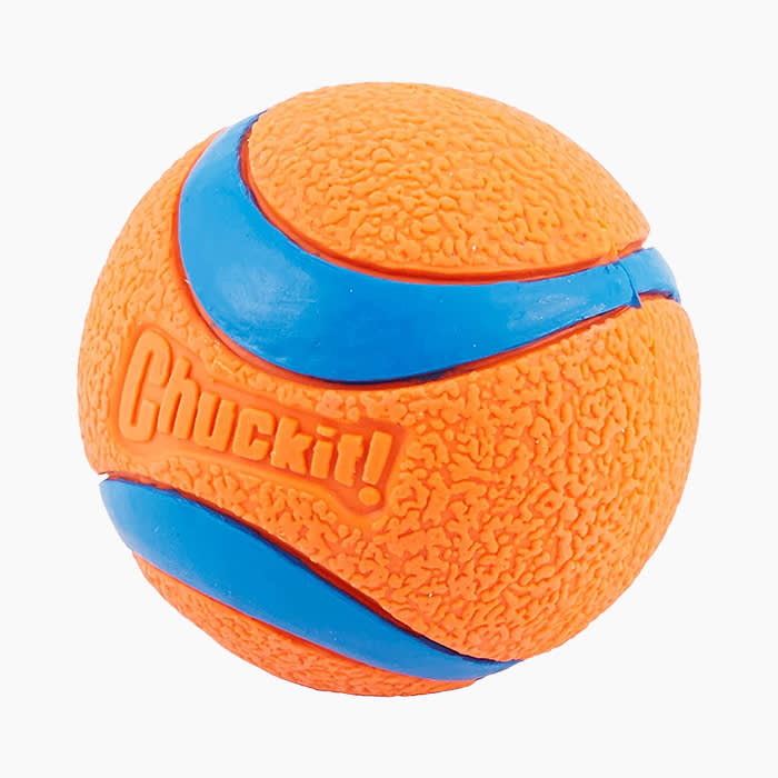 chuck it ball in orange and blue