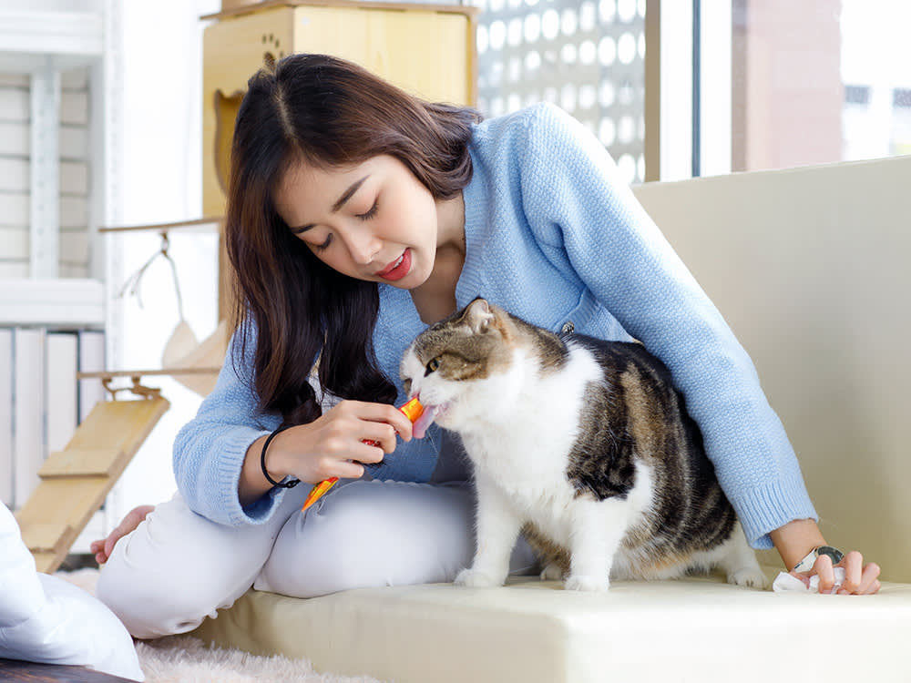 a woman feeds her large cat a treat
