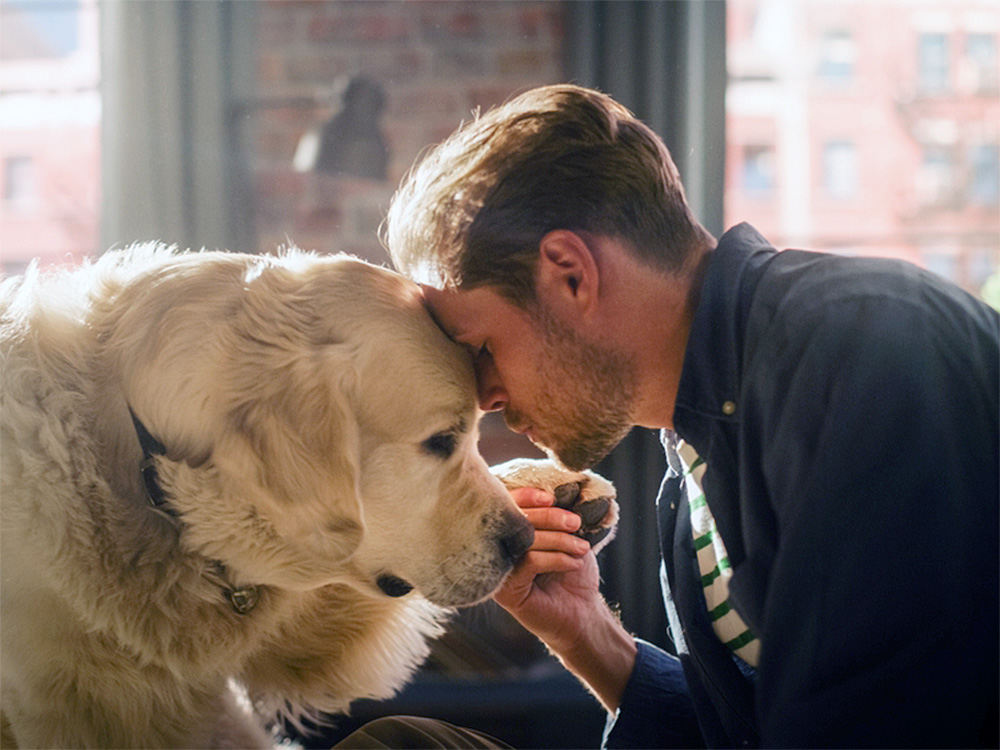 Successful Young Adult Man Playing with His Dog at Home.