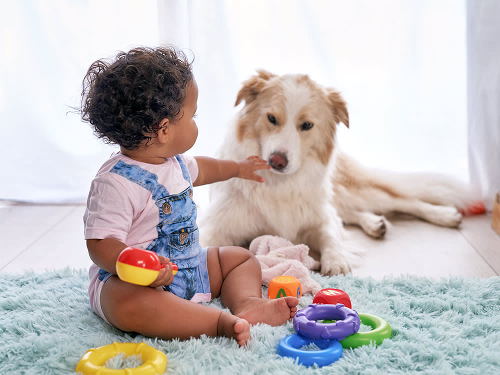 Baby playing with toys while dog lays nearby.