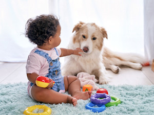 Baby playing with toys while dog lays nearby.