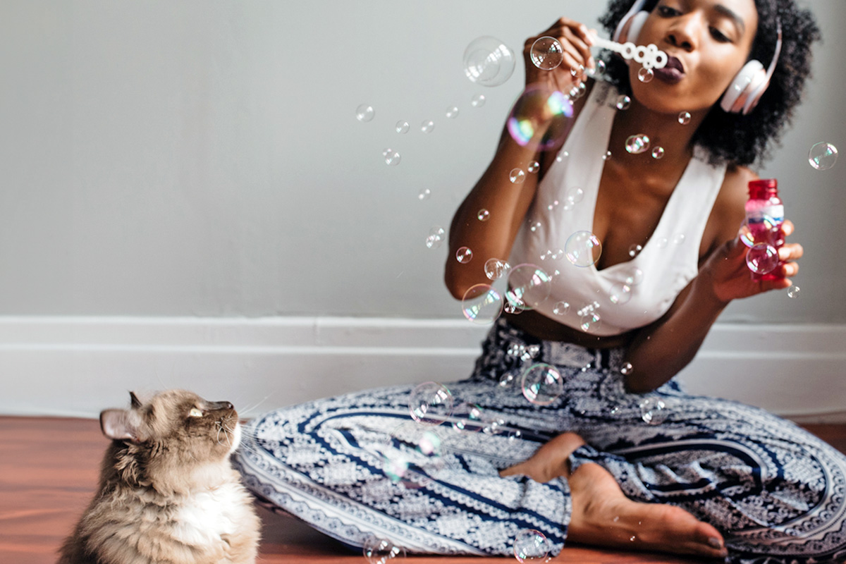 cat looking at a person blowing bubbles