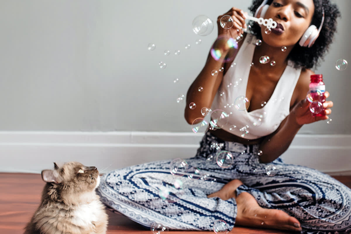 cat looking at a person blowing bubbles