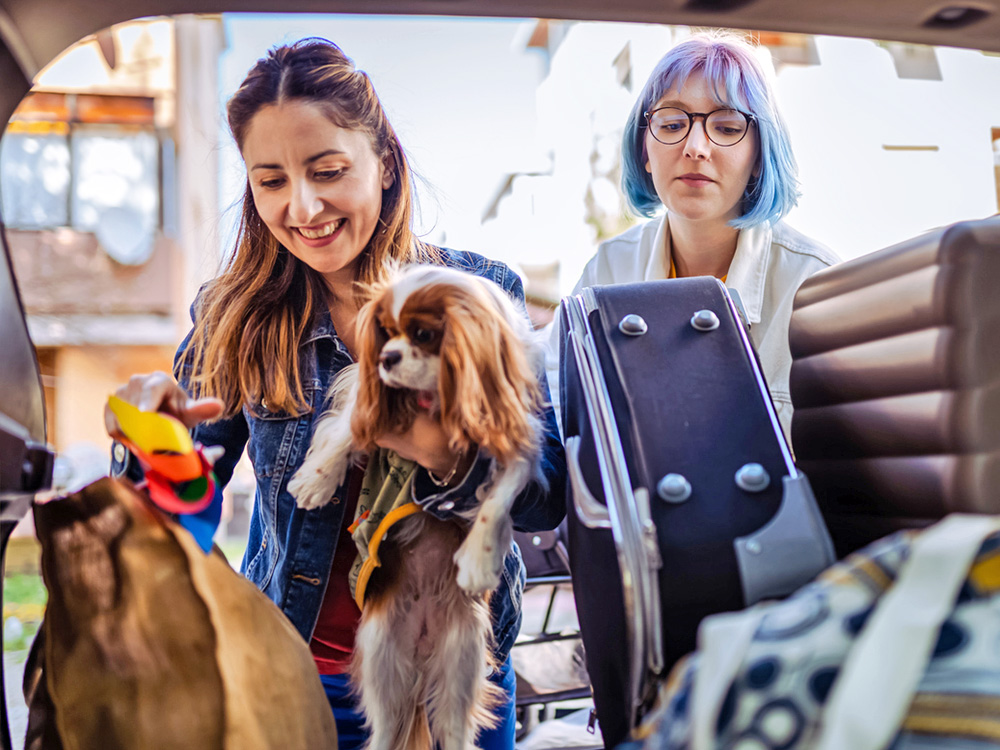 Two women getting ready to travel with their dog.
