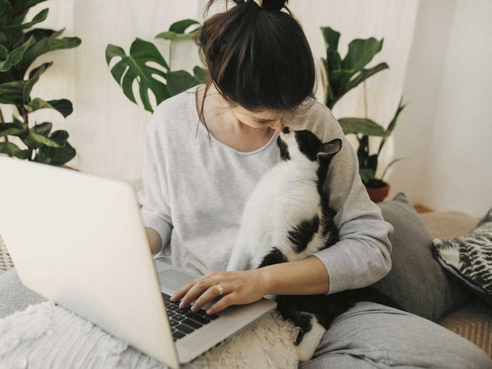 A cat headbutting a woman on her laptop. 